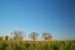 rural countryside