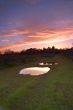 evening puddle