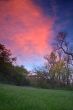 evening in the park