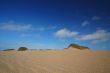 Sand Dune on the beach