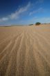 Sand Dune on the beach