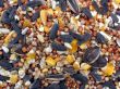 Bird Seed