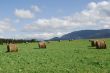 Plateau de Sault 2