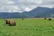 Plateau de Sault 4