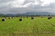 Plateau de Sault 6