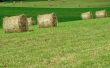 Plateau de Sault 7
