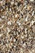 Shells
