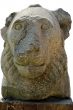 carved lion`s head