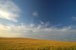 agricultural landscape