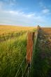 agricultural landscape