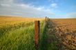 agricultural landscape