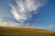 agricultural landscape