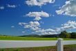 verdant spring landscape