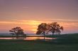 landscape silhouette