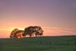 landscape silhouette