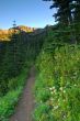 Trail in the mountains