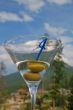 Martini against the sky