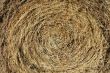 Hay Bale