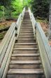 Long way up