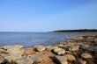 Coastal Beach