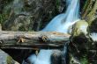 small falls