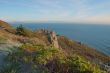 Coastal Views-Afternoon