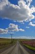 Country Road
