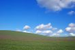 country field