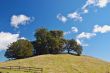 spring countryside