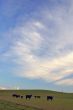 spring countryside