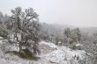 snowy countryside