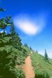 Hiking trail