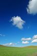 spring field