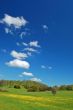 springtime meadow