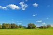 springtime landscape