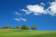 springtime landscape
