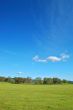 springtime landscape