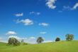 springtime landscape