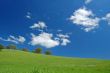 springtime landscape