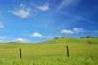 springtime landscape