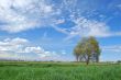 springtime landscape