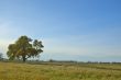springtime landscape