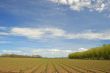 spring field