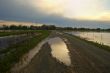 after the flood