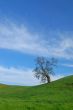 rural countryside