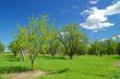rural countryside