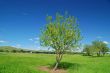 rural countryside