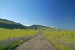 Country Road