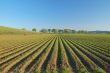 rural countryside
