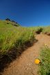 Mt Tamaplais Trail